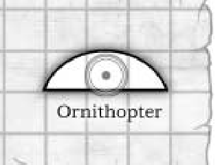 Ornithoptère